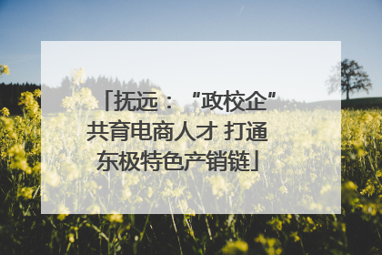 抚远：“政校企”共育电商人才 打通东极特色产销链
