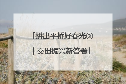 拼出平桥好春光③｜交出振兴新答卷