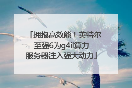 拥抱高效能！英特尔至强6为g4il算力服务器注入强大动力