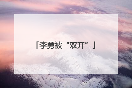 李勇被“双开”