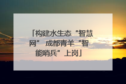 构建水生态“智慧网” 成都青羊“智能哨兵”上岗
