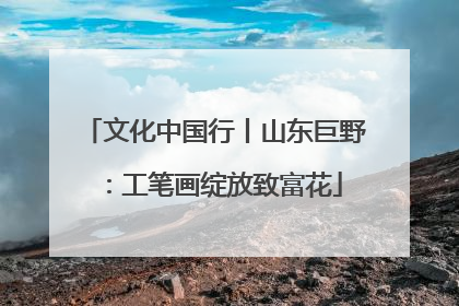 文化中国行丨山东巨野：工笔画绽放致富花