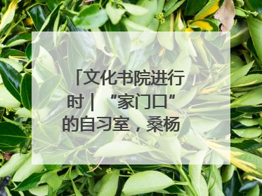 文化书院进行时｜“家门口”的自习室，桑杨社区织就15分钟学习生活圈