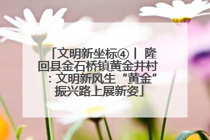 文明新坐标④丨 隆回县金石桥镇黄金井村：文明新风生“黄金” 振兴路上展新姿