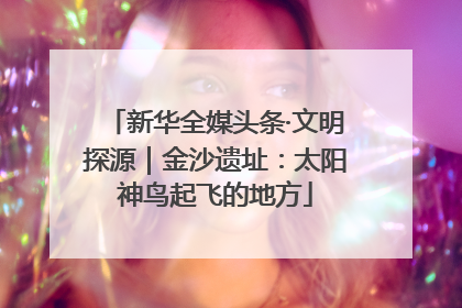 新华全媒头条·文明探源｜金沙遗址：太阳神鸟起飞的地方