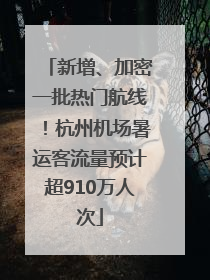 新增、加密一批热门航线！杭州机场暑运客流量预计超910万人次