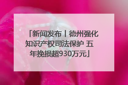 新闻发布丨德州强化知识产权司法保护 五年挽损超930万元