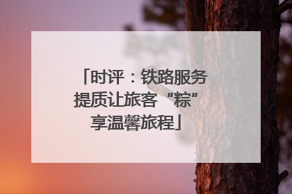 时评：铁路服务提质让旅客“粽”享温馨旅程