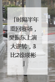 时隔半年重回赛场，樊振东上演大逆转，3比2徐瑛彬