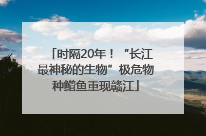 时隔20年！“长江最神秘的生物”极危物种鳤鱼重现赣江