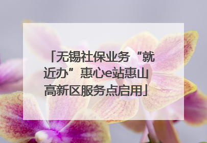 无锡社保业务“就近办”惠心e站惠山高新区服务点启用
