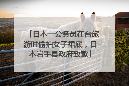 日本一公务员在台旅游时偷拍女子裙底，日本岩手县政府致歉