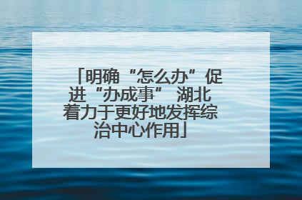 明确“怎么办”促进“办成事” 湖北着力于更好地发挥综治中心作用
