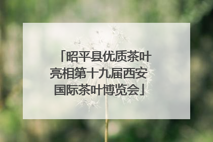 昭平县优质茶叶亮相第十九届西安国际茶叶博览会