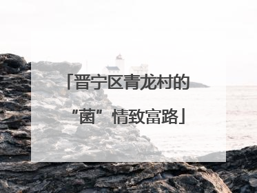 晋宁区青龙村的“菌”情致富路
