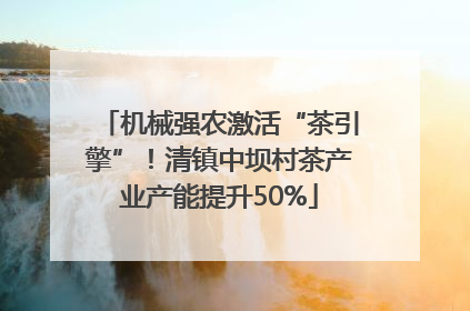 机械强农激活“茶引擎”！清镇中坝村茶产业产能提升50%