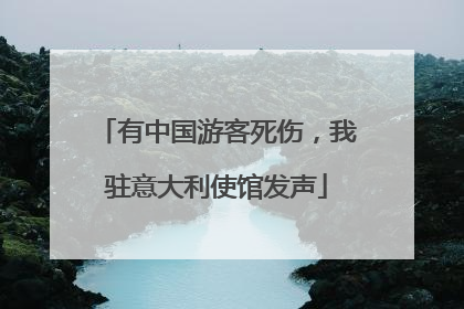 有中国游客死伤，我驻意大利使馆发声