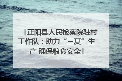 正阳县人民检察院驻村工作队：助力“三夏”生产 确保粮食安全