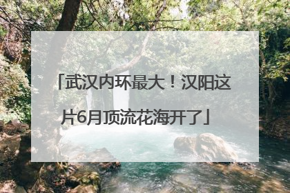 武汉内环最大！汉阳这片6月顶流花海开了