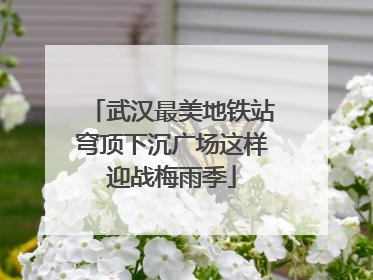 武汉最美地铁站穹顶下沉广场这样迎战梅雨季