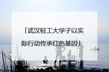 武汉轻工大学子以实际行动传承红色基因