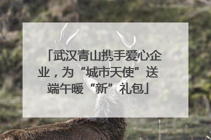 武汉青山携手爱心企业，为“城市天使”送端午暖“新”礼包