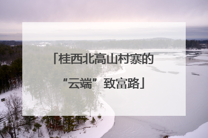 桂西北高山村寨的“云端”致富路