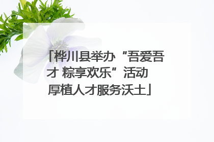桦川县举办“吾爱吾才 粽享欢乐”活动 厚植人才服务沃土