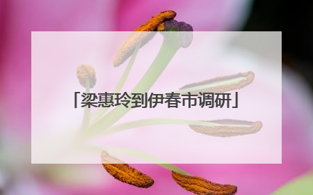 梁惠玲到伊春市调研