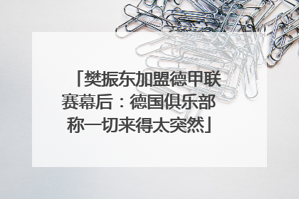 樊振东加盟德甲联赛幕后：德国俱乐部称一切来得太突然