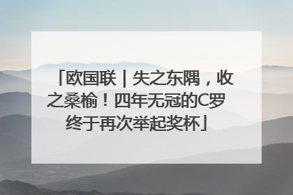 欧国联｜失之东隅，收之桑榆！四年无冠的C罗终于再次举起奖杯