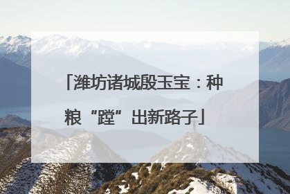 潍坊诸城殷玉宝：种粮“蹚”出新路子