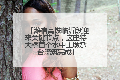 潍宿高铁临沂段迎来关键节点，这座特大桥首个水中主墩承台浇筑完成