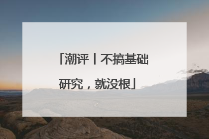 潮评丨不搞基础研究，就没根