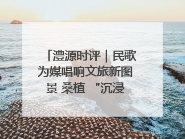 澧源时评｜民歌为媒唱响文旅新图景 桑植 “沉浸式” 文旅融合的破圈启示