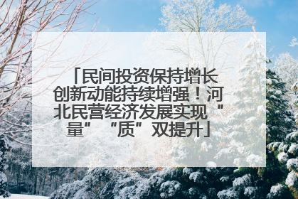 民间投资保持增长 创新动能持续增强！河北民营经济发展实现“量”“质”双提升