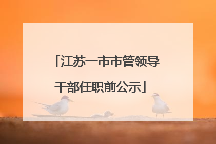 江苏一市市管领导干部任职前公示