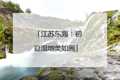 江苏东海：初夏湿地美如画