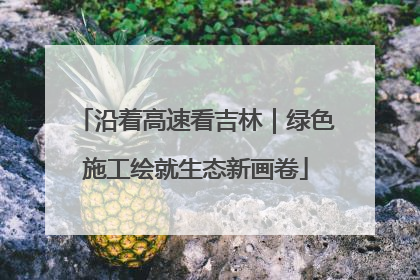 沿着高速看吉林｜绿色施工绘就生态新画卷