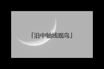 沿中轴线观鸟