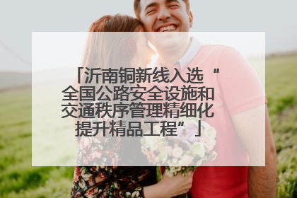 沂南铜新线入选“全国公路安全设施和交通秩序管理精细化提升精品工程”