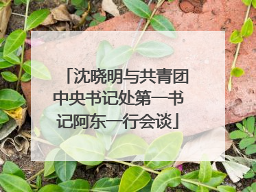 沈晓明与共青团中央书记处第一书记阿东一行会谈