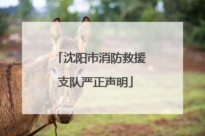 沈阳市消防救援支队严正声明