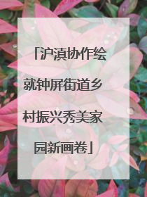沪滇协作绘就钟屏街道乡村振兴秀美家园新画卷