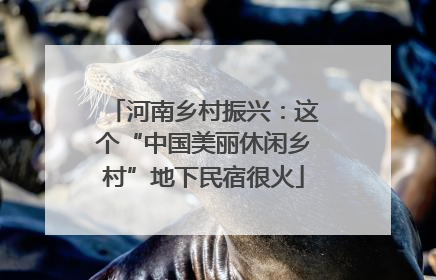 河南乡村振兴：这个“中国美丽休闲乡村”地下民宿很火