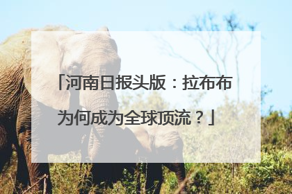 河南日报头版：拉布布为何成为全球顶流？
