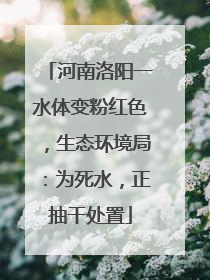 河南洛阳一水体变粉红色，生态环境局：为死水，正抽干处置