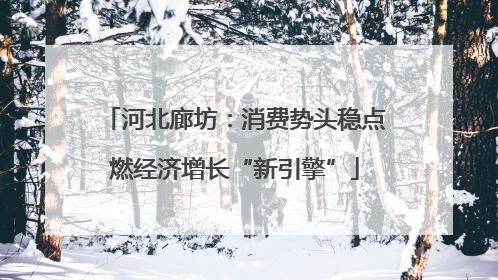 河北廊坊：消费势头稳点燃经济增长“新引擎”