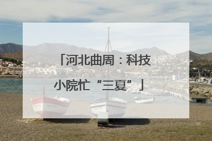 河北曲周：科技小院忙“三夏”