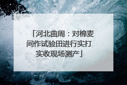 河北曲周：对棉麦间作试验田进行实打实收现场测产
